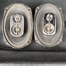 Pioneer Nikl Original 500lik