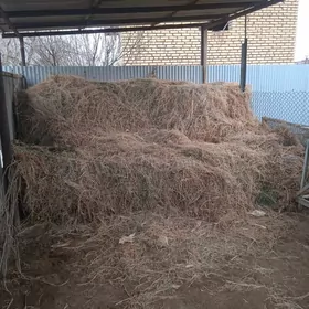 Арраса ёрунжа