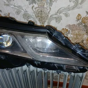 Kamri  fara.  2018 yyl .