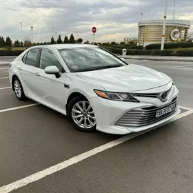 Toyota Camry 2019