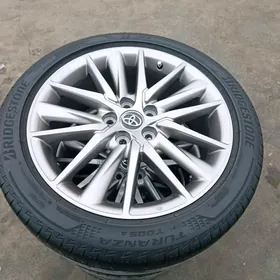 ýewrapeýka disge pakrişga 18