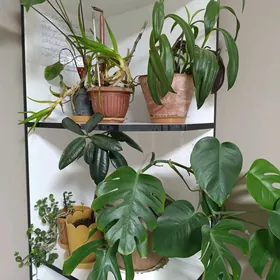 2 ком, 2 этаж