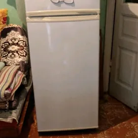 satlyk.haladinlik arasaja