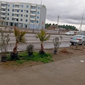 ARENDA MAGAZIN ABYEZ YOLUN UGR