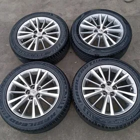 Karolla Haliji Dysga Morda 16