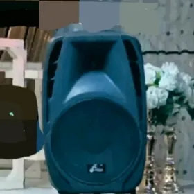 Монитор 15 дюмПластмас Колонка