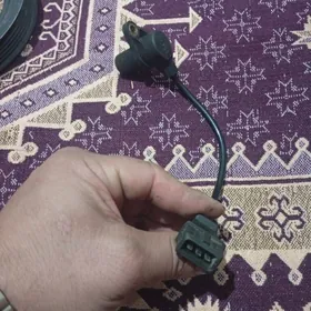 импус дачик