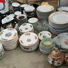 pasuda alip yuripmiz