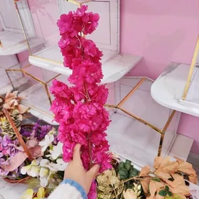 Rozowyŷ tazeje gül