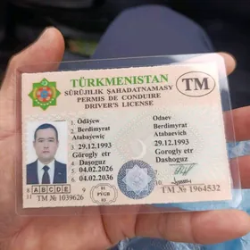 mana safyorcylyk is gerek