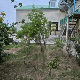 Anew gysdagly satlyk jay