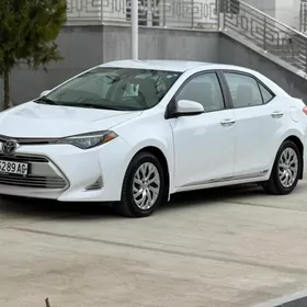 Toyota Corolla 2019