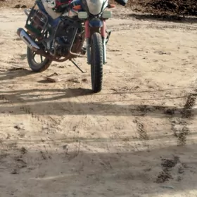 Fekon FK200-14G 2023