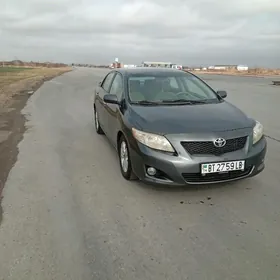 Toyota Corolla 2010