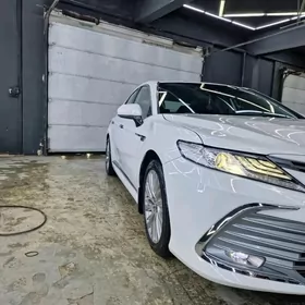 Toyota Camry 2019