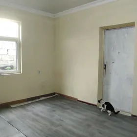 Arenda komnot 90 razesd