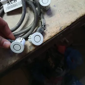 парктроник