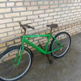 Türkmenistan welsepid