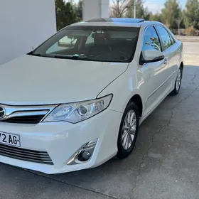Toyota Camry 2013