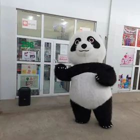 Panda satlyar