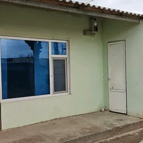 kwartirant Büzmeýin tomatnyý