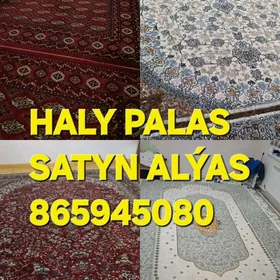 SATYN HALY PALAS ALÝAS