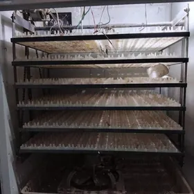 cuje cylaryan inkawatyr