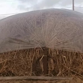 Беде хашал, bede haşal