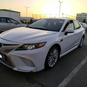 Toyota Camry 2020