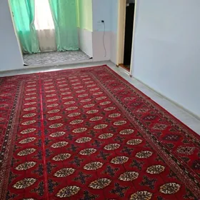 mary şäher titow köçe