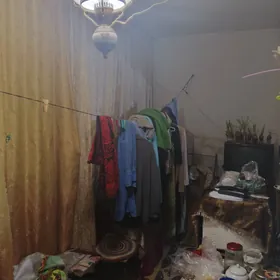 Buzmeyin gress dana kafe