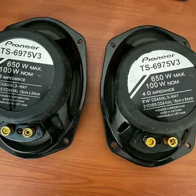 nikel kalonka 650W org