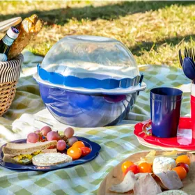 Пикник Piknik English Home