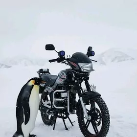 Fekon FK200-14G 2026