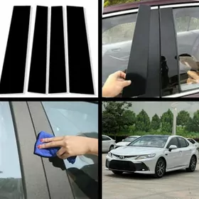 Kemri stoyka plasmasy arginal