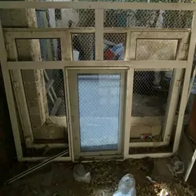 Akno Ayna Акошки