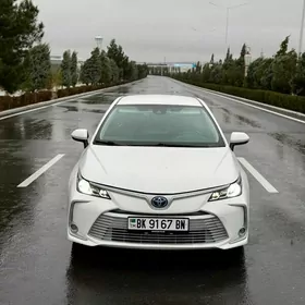 Toyota Corolla Hybrid 2021