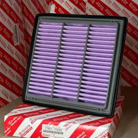 LAND CRUİSER 300 (FİLTİR)