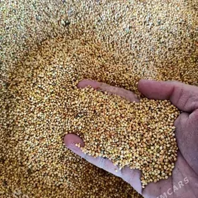 КОРМ ДЛЯ ВОЛНИСТЫХ