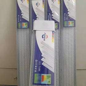 patalok çyra led eltmek mugt