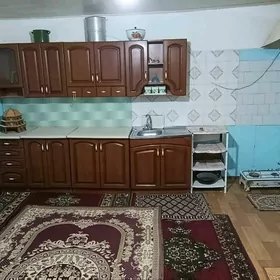 Arenda jay virimyanka