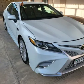 Toyota Camry 2020