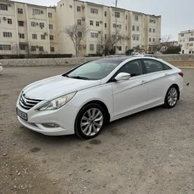 Hyundai Sonata 2010