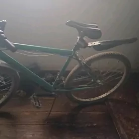 welosopet Turkmenistan