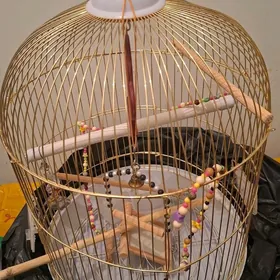 Клетка для попугая