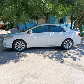 Taŷota karolla 215 55 17