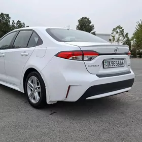 Toyota Corolla 2021