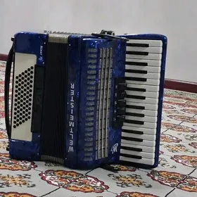 akardiÿon .акардийон