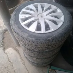 karolla diska pakryska 16 lyk