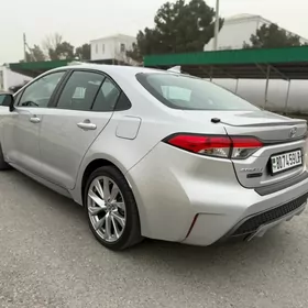 Toyota Corolla 2020
